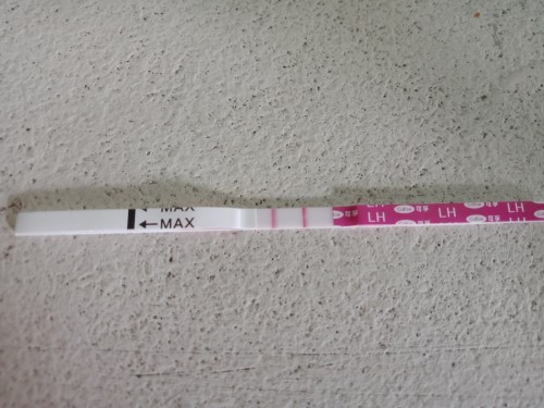 OPK Positive?