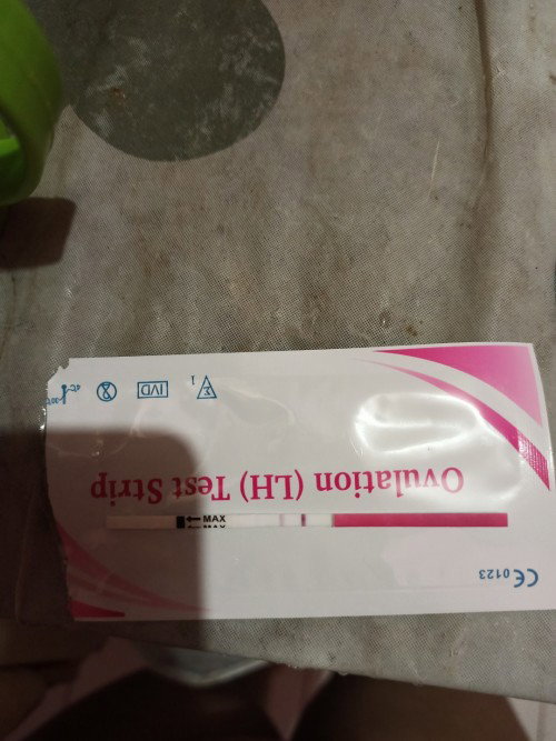 Hasil test ovulasi