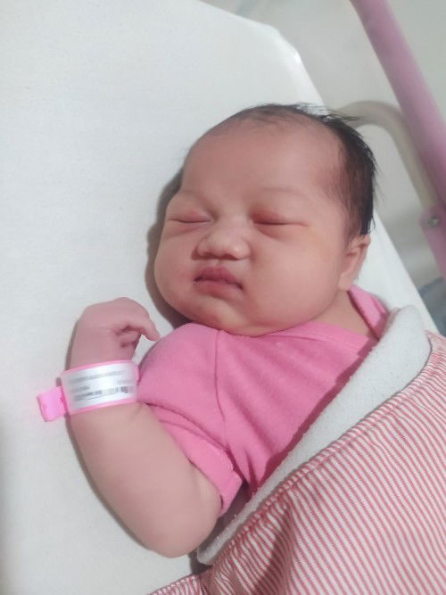 HPL 30 Januari 2023, Launcing 3 Februari 2023