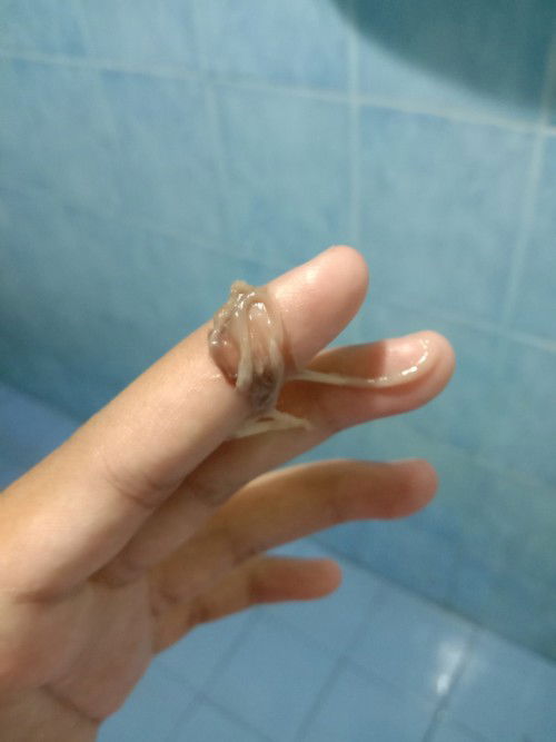 สอบถามผู้รู้ค่ะ