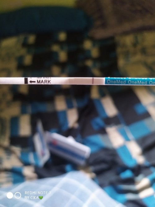 Pernah jadi pejuang garis 2