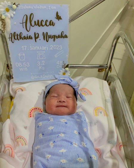 Hpl 8 maret, launching 17 januari