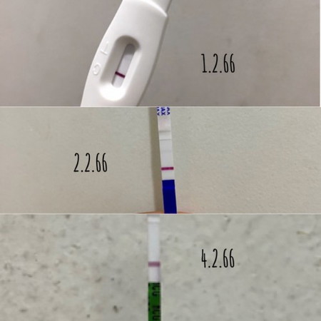 ตรวจครรถ์ ขึ้นขีดจางๆ