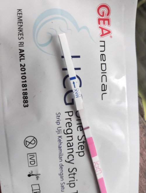 Hptp4 january