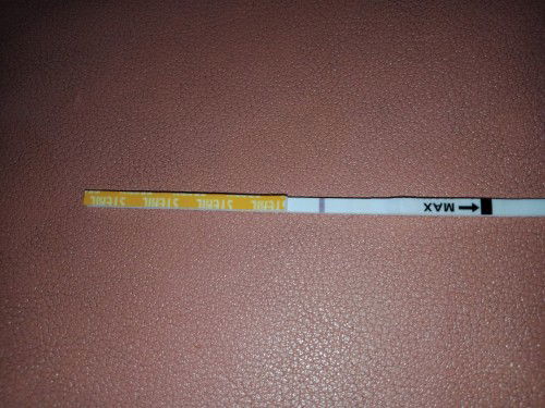 bun ini garis 2 nggak sih samar bgt