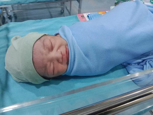 Hpl 20 feb lauching tgl 5 feb