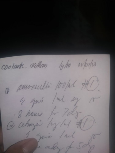 Hello po sino po nakakabasa ng resita sa inyo ilang beses po sa isang araw iinumin Yung amoxicillin