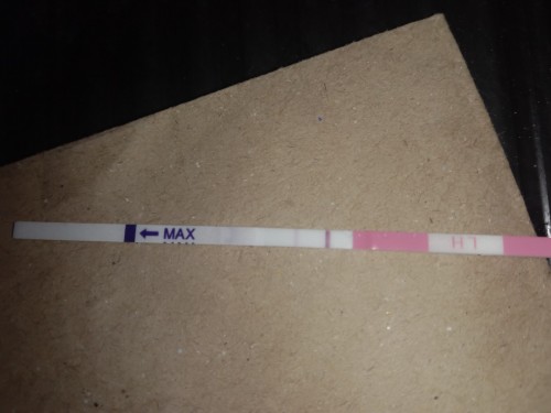 Ovulation time