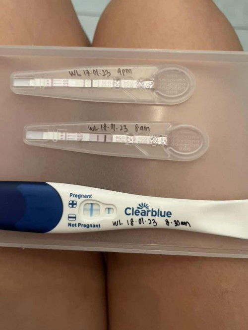 My potato leave us. Silent Miscarriage . 6w5d