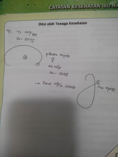 hasil pemeriksaan dan letak janin