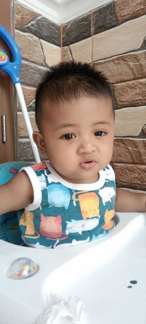 Makanan padat bayi 6 bulan apa boleh