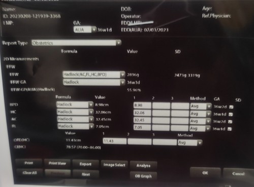 hi nak tanya detail scan berat baby yang mana