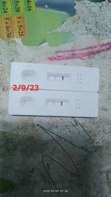 Positive sa PT 5X 
diagnose PCOS since 2015