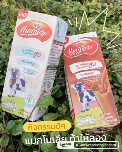 กิจกรรมดีๆ ดื่มนมฟรีตลอดเทอม จากทาง แมกโนเลีย