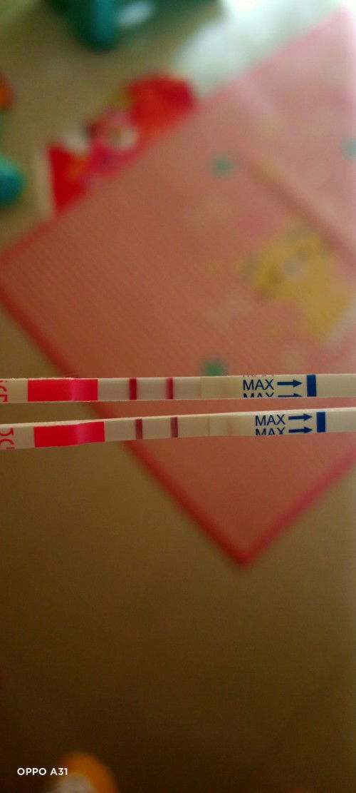 USG sebaiknya di week brp bunda?