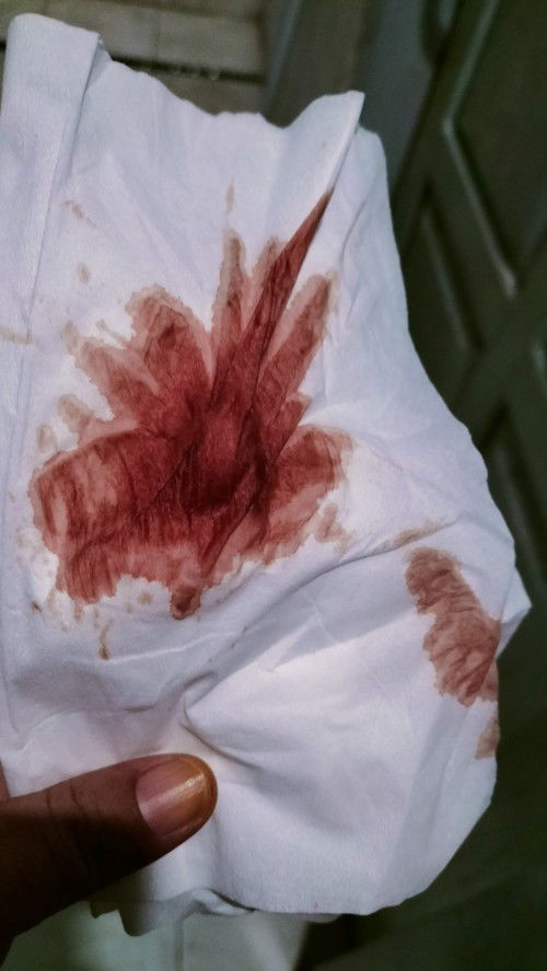 HPL 24 FEBRUARI 2023