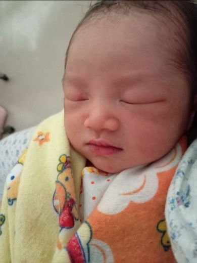 HPL 23 Feb 23 launching 10 Feb 23