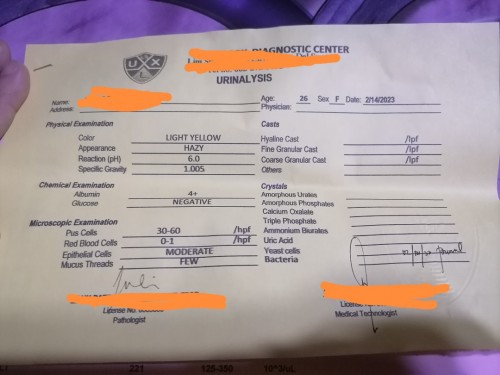 Urinalysis result