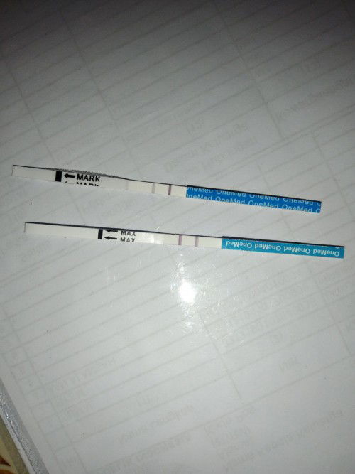 Tolong bantu jawab 😊