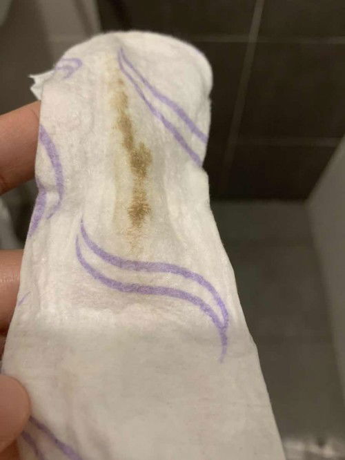 Last period bulan 12