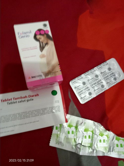 Vitamin bumil apa aja ?