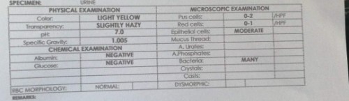 UTI / BACTERIA??