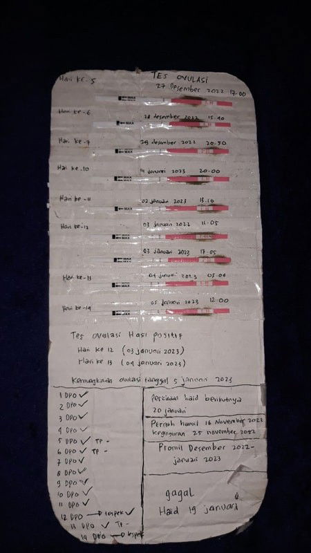 Saran untuk yang sedang promil