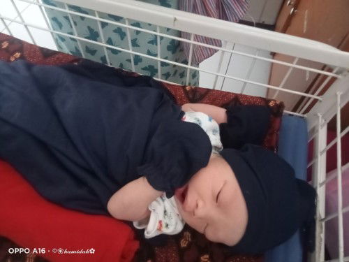 Hpl 2 maret udah launching