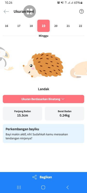 Umur 19 minggu bunda aktif bngt ga tendangan bayinya ????