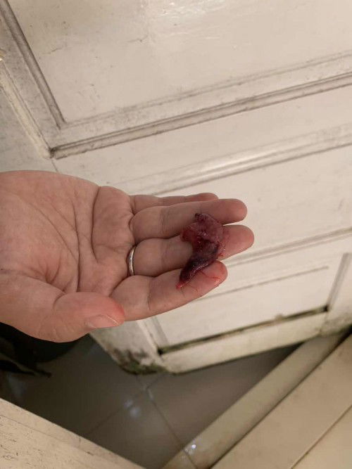 sedih tapi belum rjeki