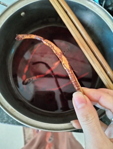 Nhà bác e mang cho củ gai nhà trồng mà sao e thấy nó như cái rễ bé vậy k giống trên mạng , lo k fai