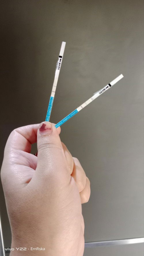 Hamil 2 bln, gk mual2