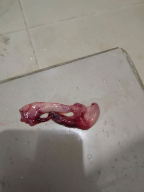 Bun mau tanya ini kira" apa yaa..saya dapet kiriman fto dri tmen saya