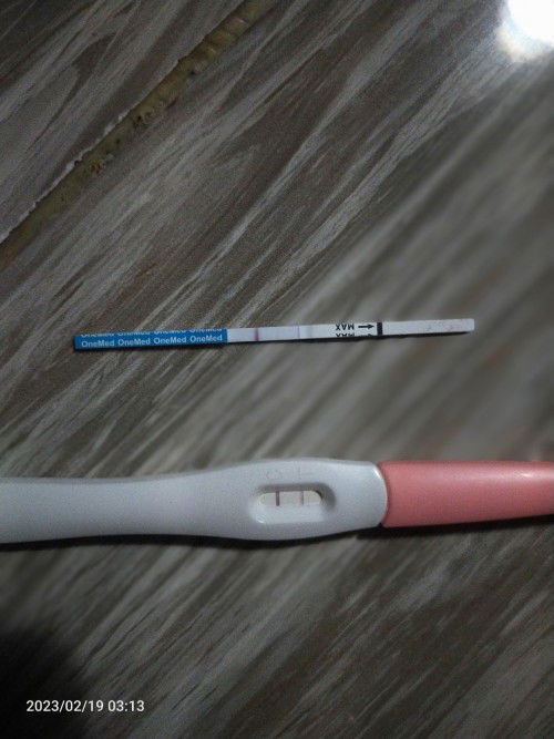 Hamil palsu atau gimana ya bun?