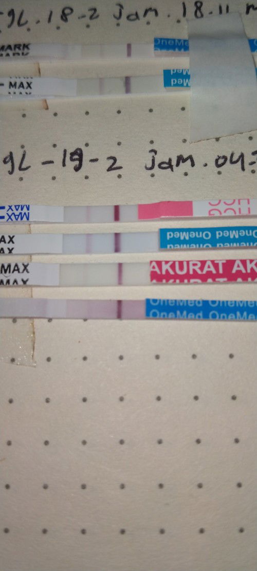 Massya Allah tabarakallah