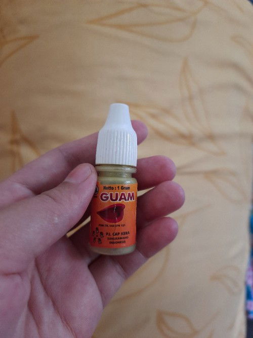 Obat guam