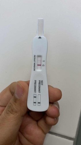Pregnancy Test