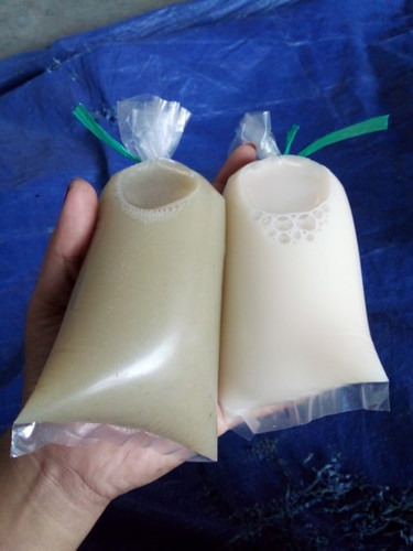 Susu kedelai