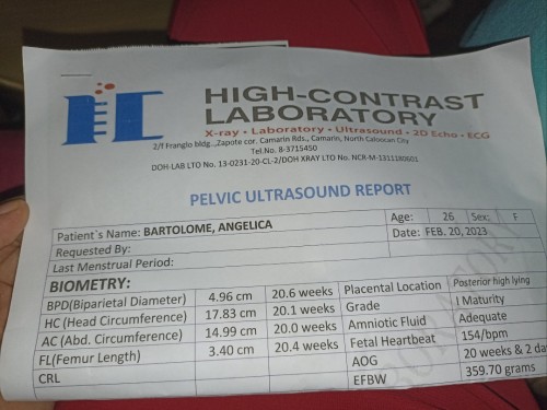 Pelvic ultrasound