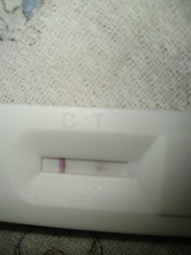 Pregnant tes