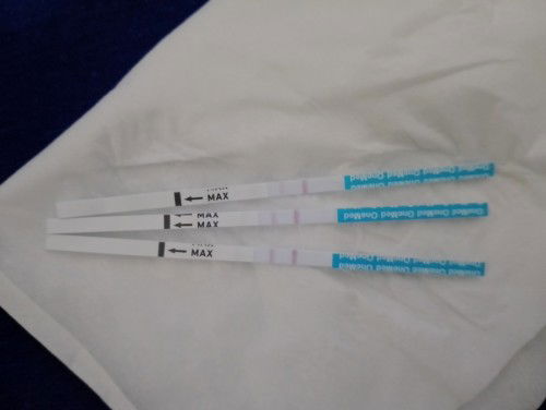 Assalamu'alaikum.. saya hpht 21 januari, coba tespack ternyata garis 2. berarti hamil ya mom ?