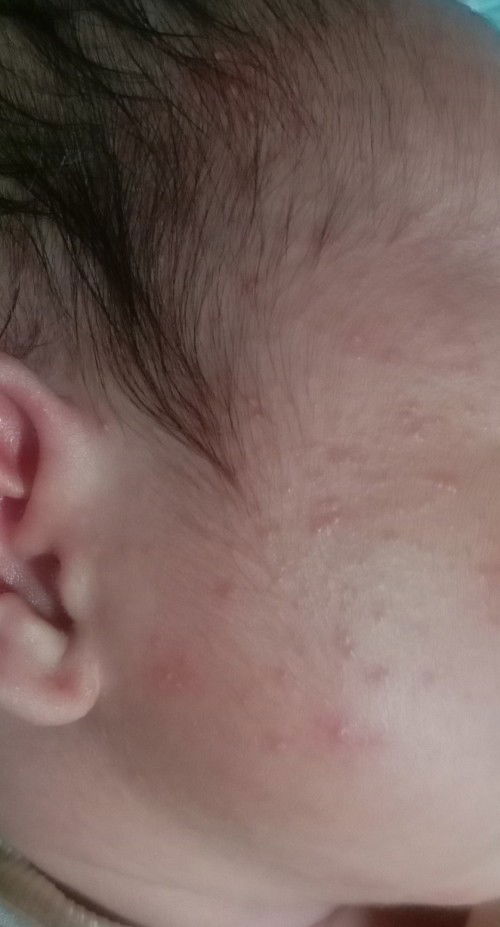 Sharing dong bunda bunda