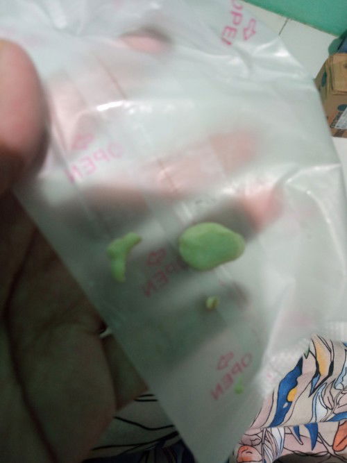 Masitis pada awal menyusul