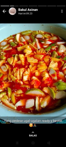 Bun mau tanya... Hamil muda boleh gak sih makan salak & rambutan ? Soalnya akhir2 ini suka asinan