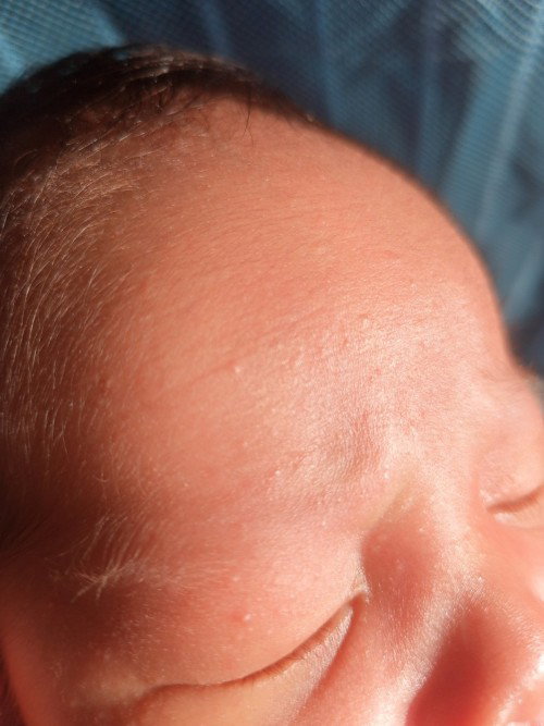 Hi po ask ko lang kung anong meron dito?