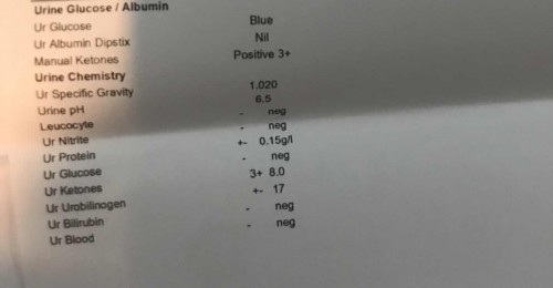 Ketones Positif 3+