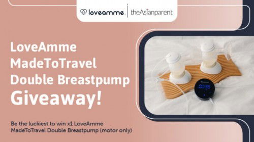 LoveAmme MadeToTravel Double Breastpump Giveaway!