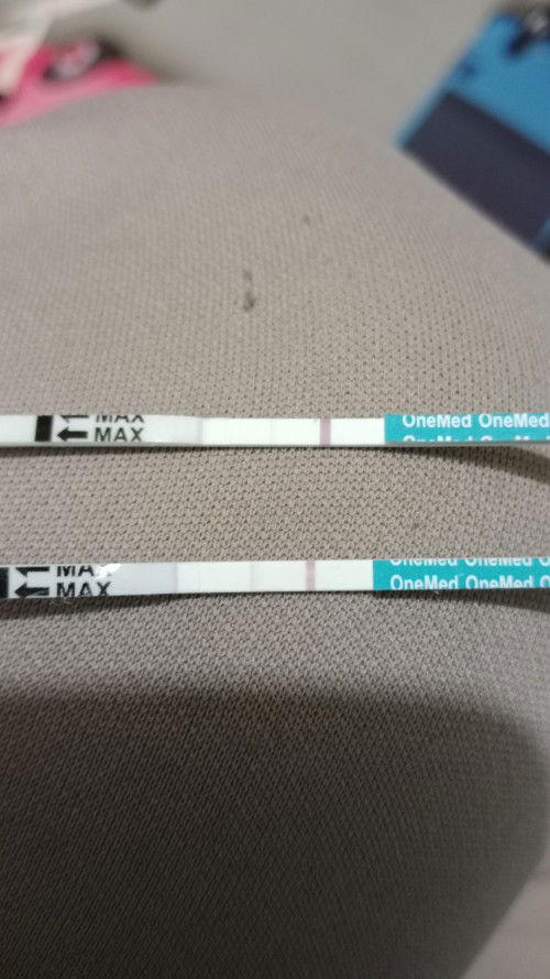 Saya baru tlat head 5 hri, dan allhmdulilah garis 2 tpi msih samar bun, kemungkinan kah saya hamil