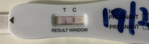 Urine Pregnancy Test