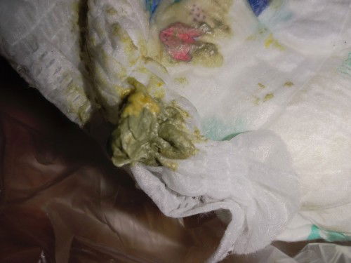 Bab bayi 5 bulan 6 hari